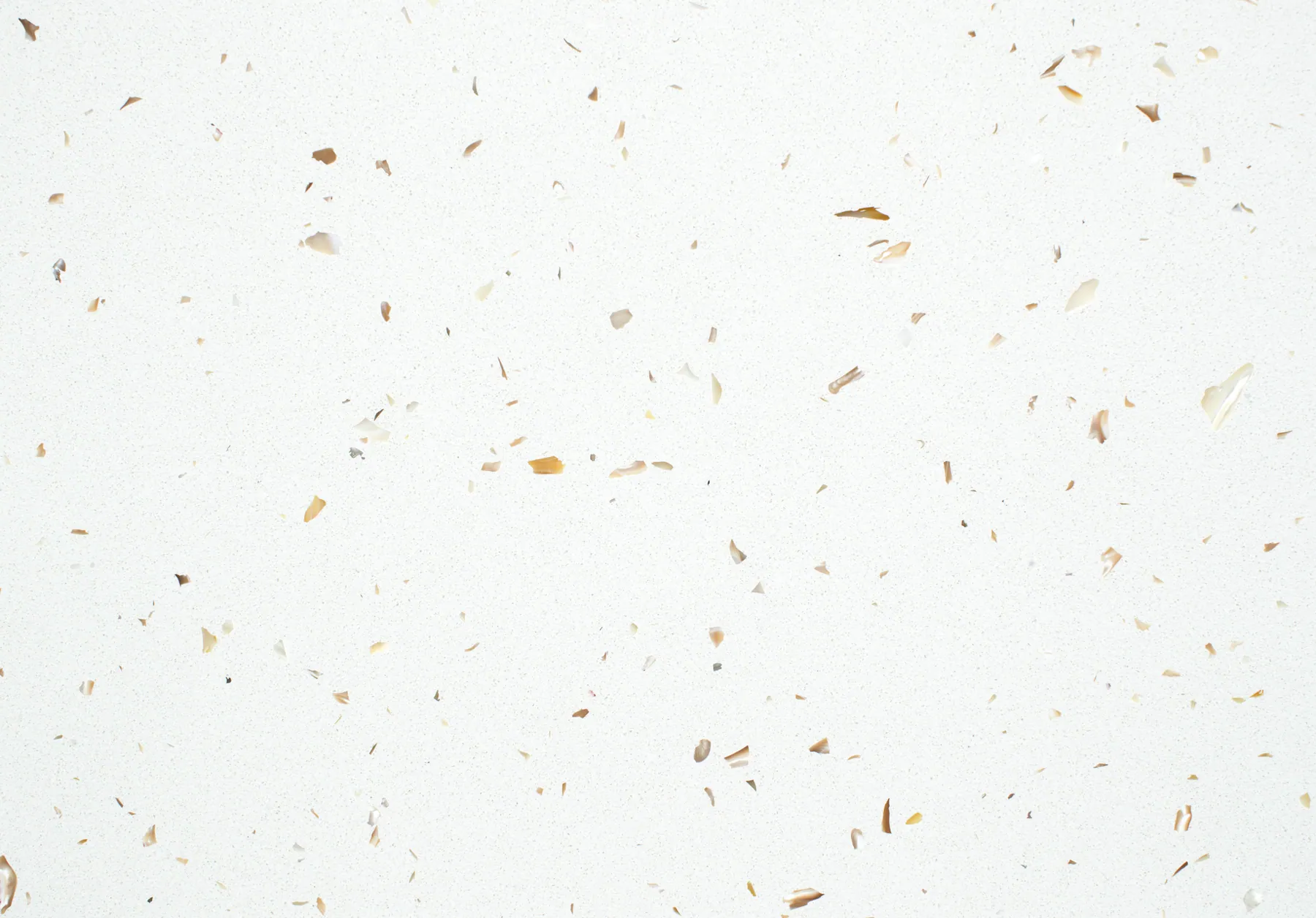 Đá Vicostone White Shells™ BQ370 – Close Up