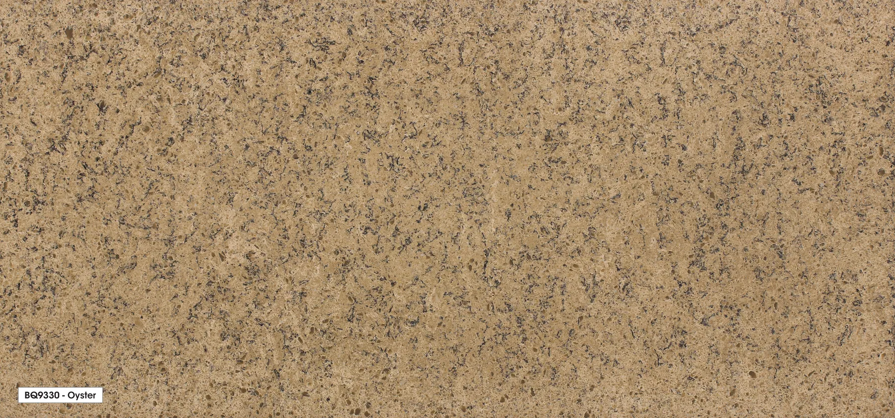 Ảnh toàn tấm Oyster™ BQ9330
