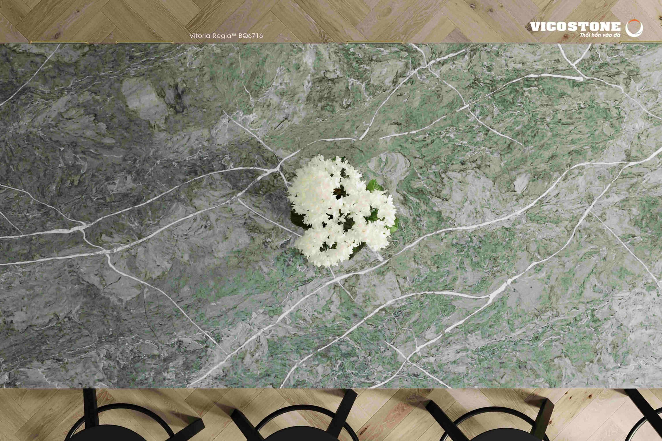 Da Vicostone Vitoria Regia™ Bq6716 Nhom D