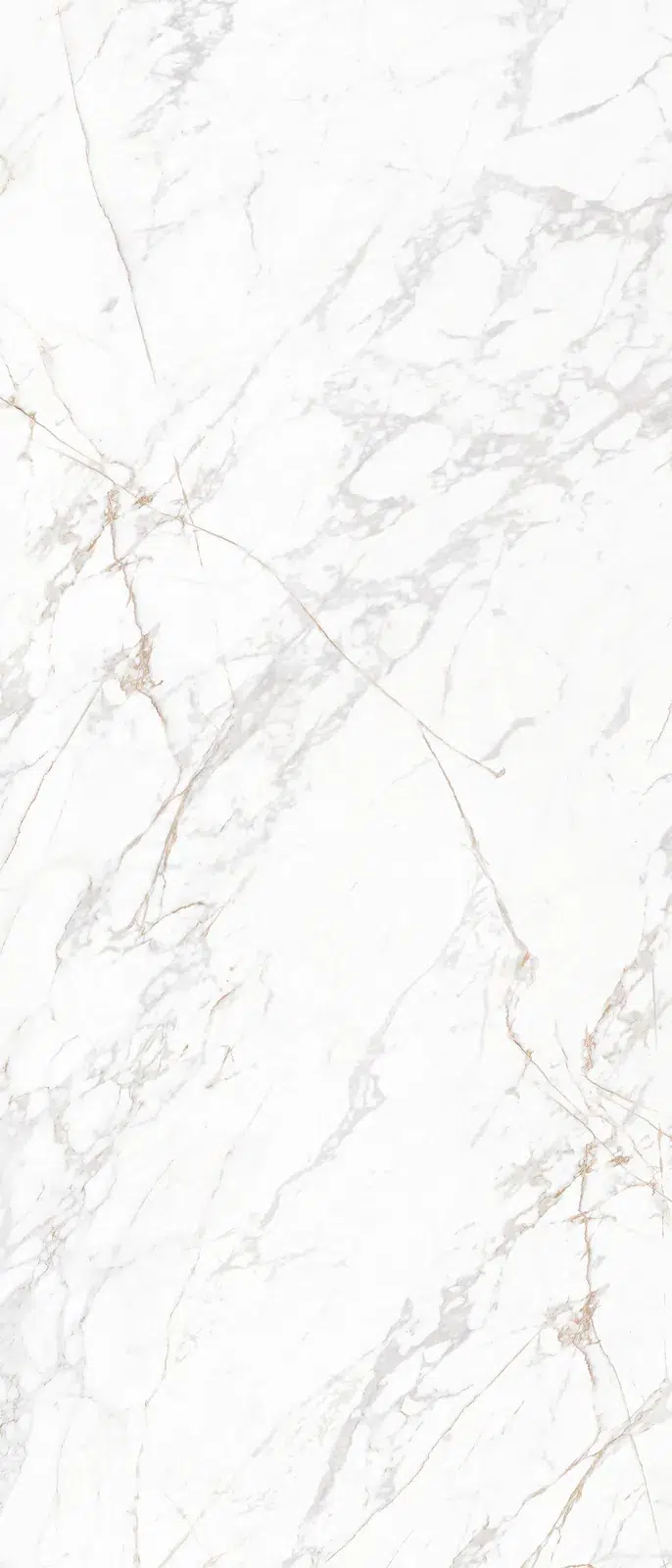 Ảnh chi tiết Apuan Luxe Essentials