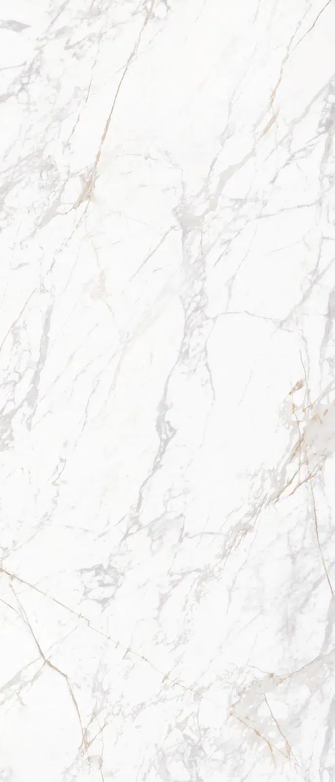 Ảnh chi tiết Apuan Luxe Essentials