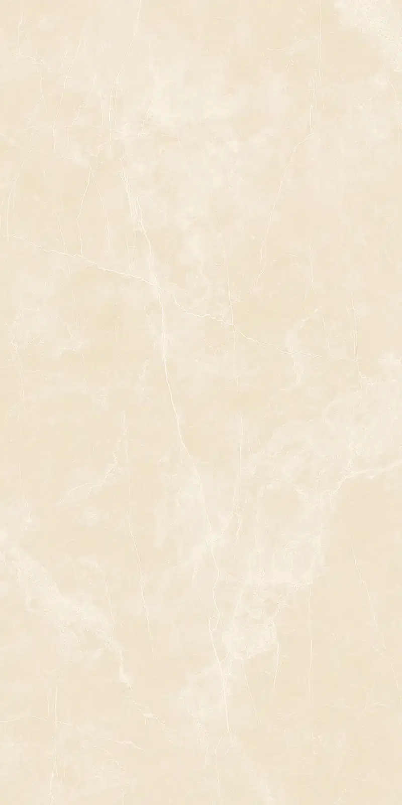 Ảnh chi tiết Armani Beige