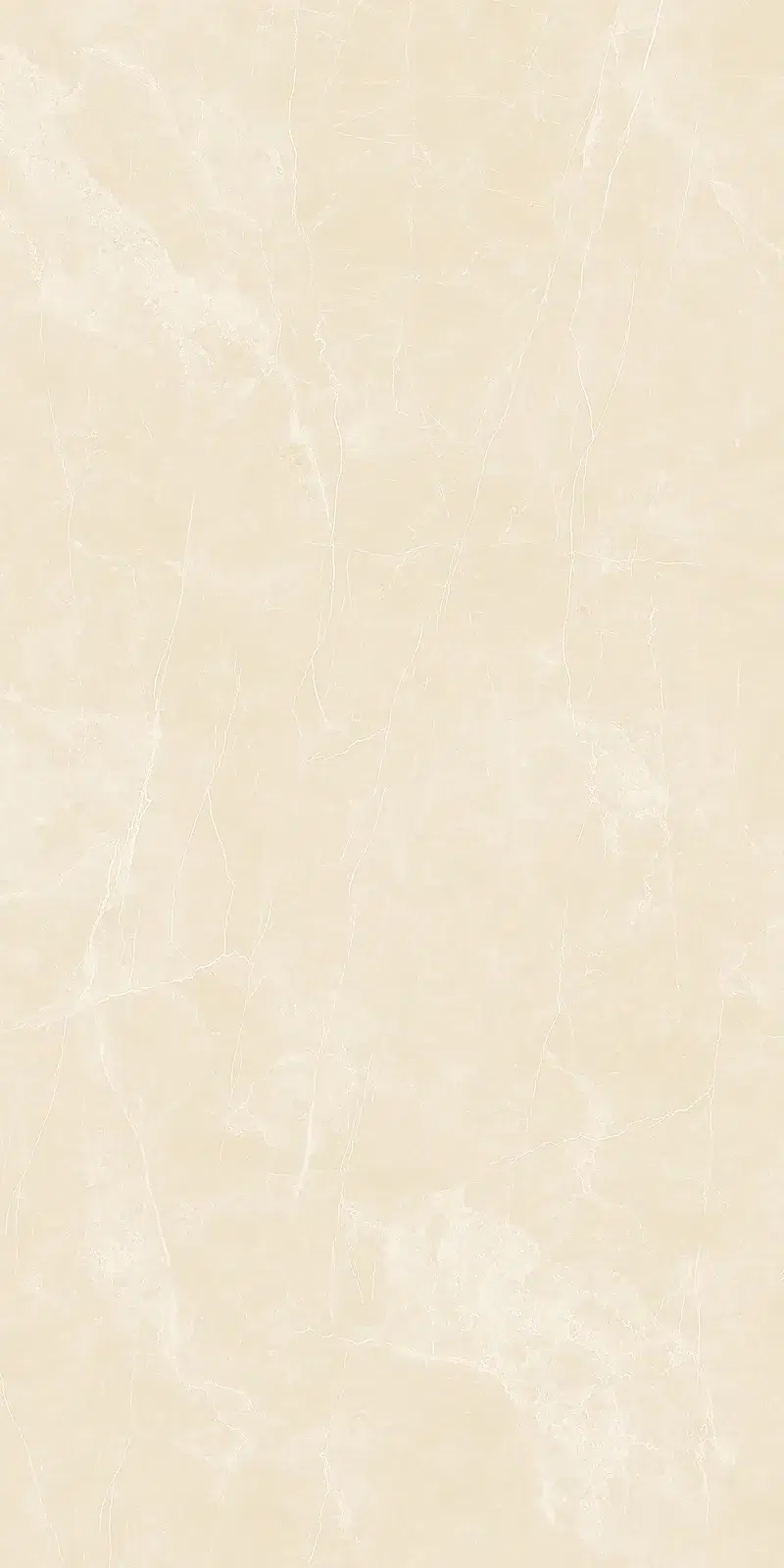 Ảnh chi tiết Armani Beige