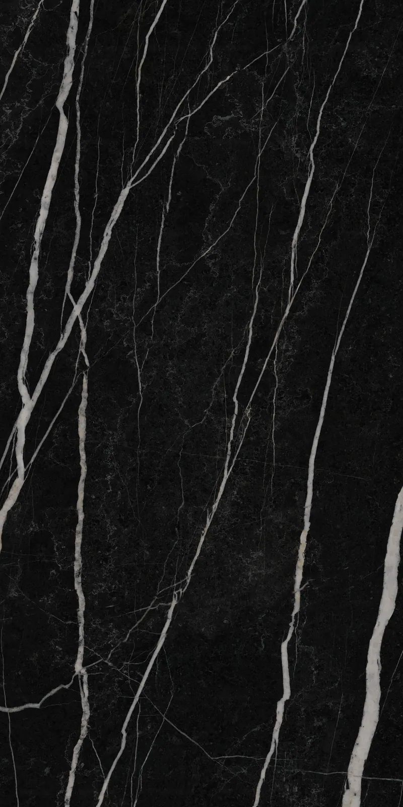 Ảnh chi tiết Black Marquina