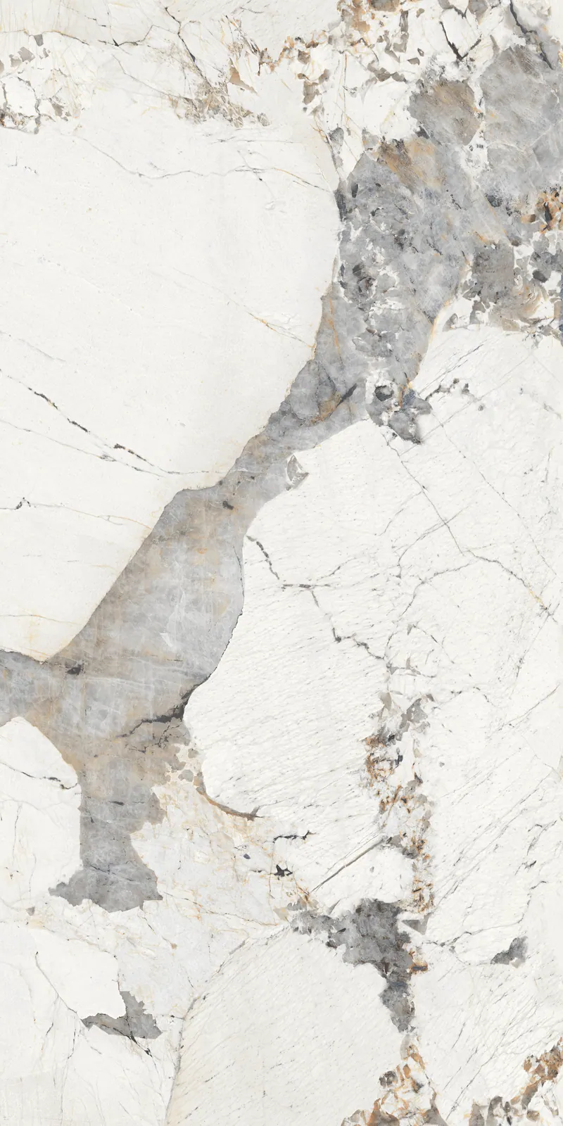 Ảnh chi tiết Breccia Patagonia