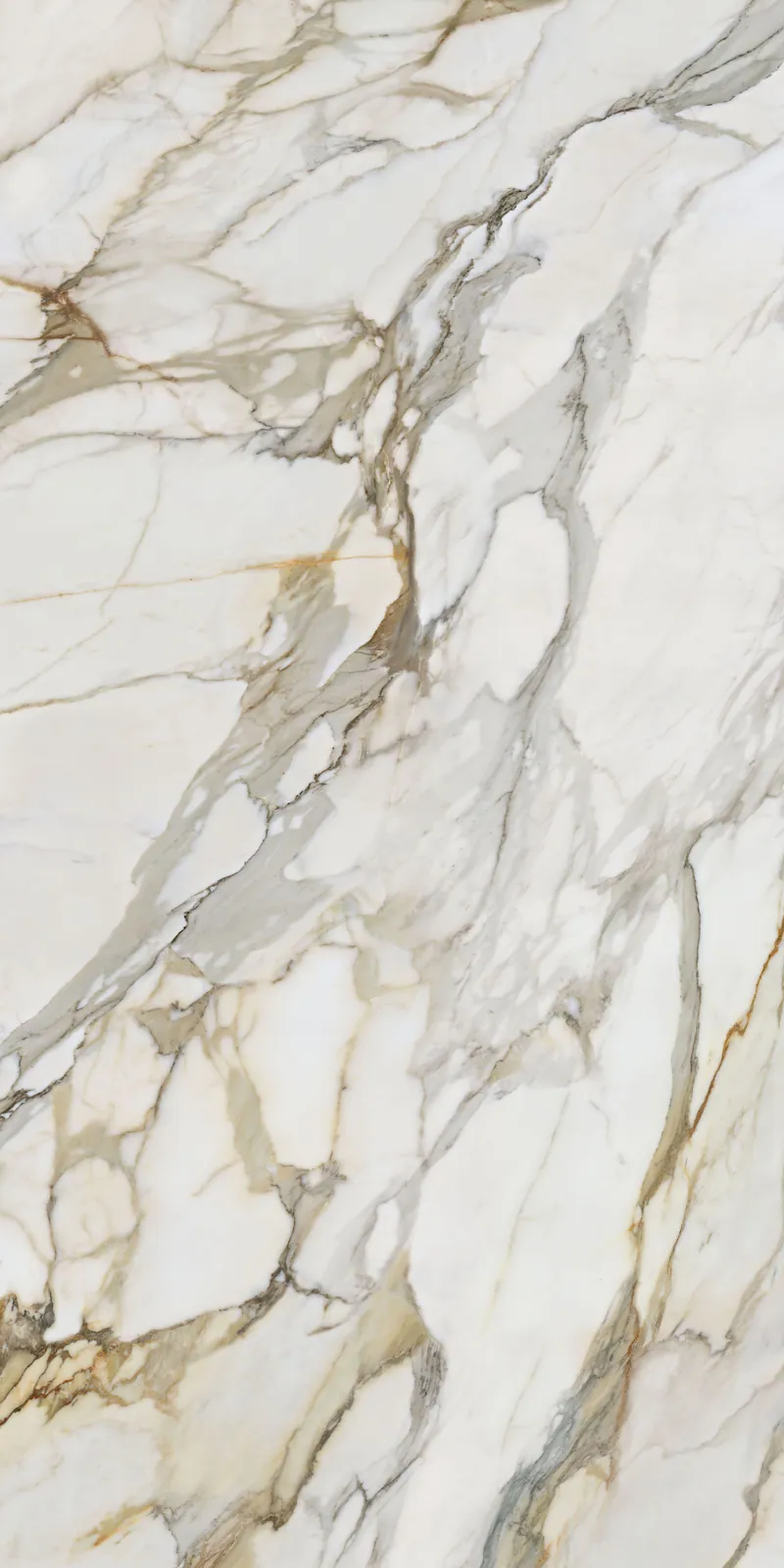 Ảnh chi tiết Calacatta Borghini