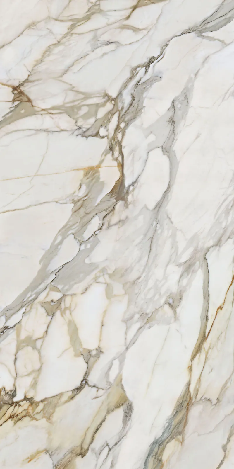 Ảnh chi tiết Calacatta Borghini