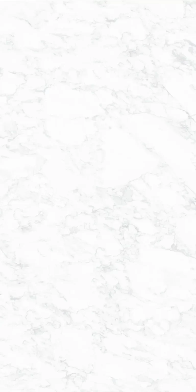 Mẫu Đá Nung Kết Vasta Stone Carrara Gioia Tông Trắng Vân Xám Mảnh, Khổ 160X320 Cm, Dày 20 Mm