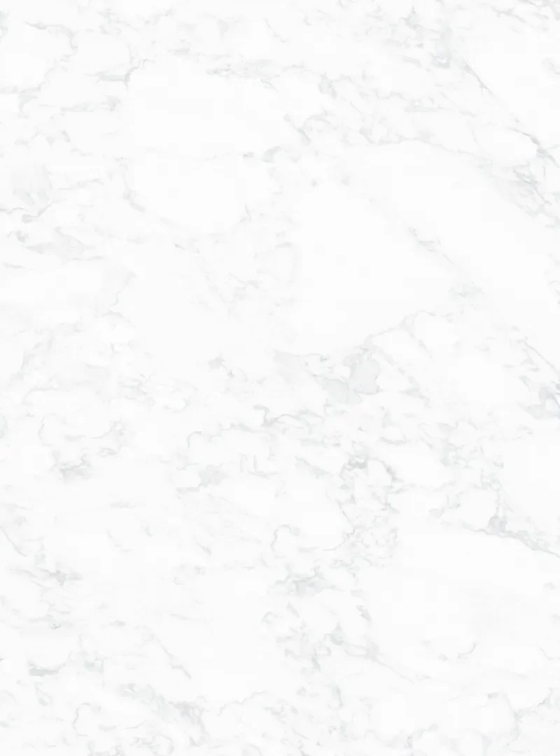 Mẫu đá nung kết Vasta Stone Carrara Gioia tông trắng vân xám mảnh, khổ 160x320 cm, dày 20 mm