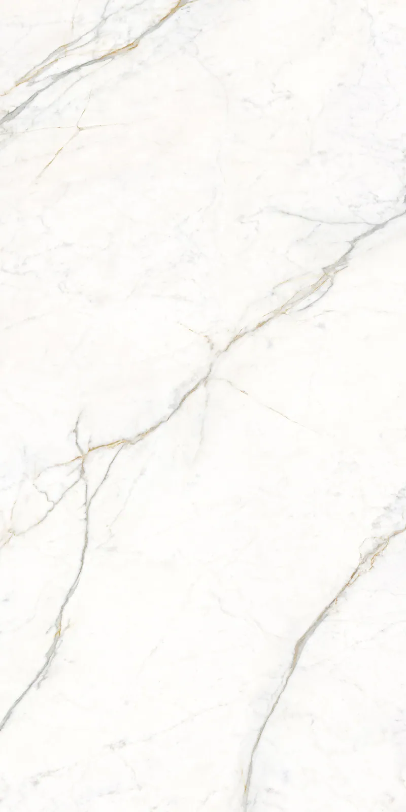 Ảnh chi tiết Gold Cascabel