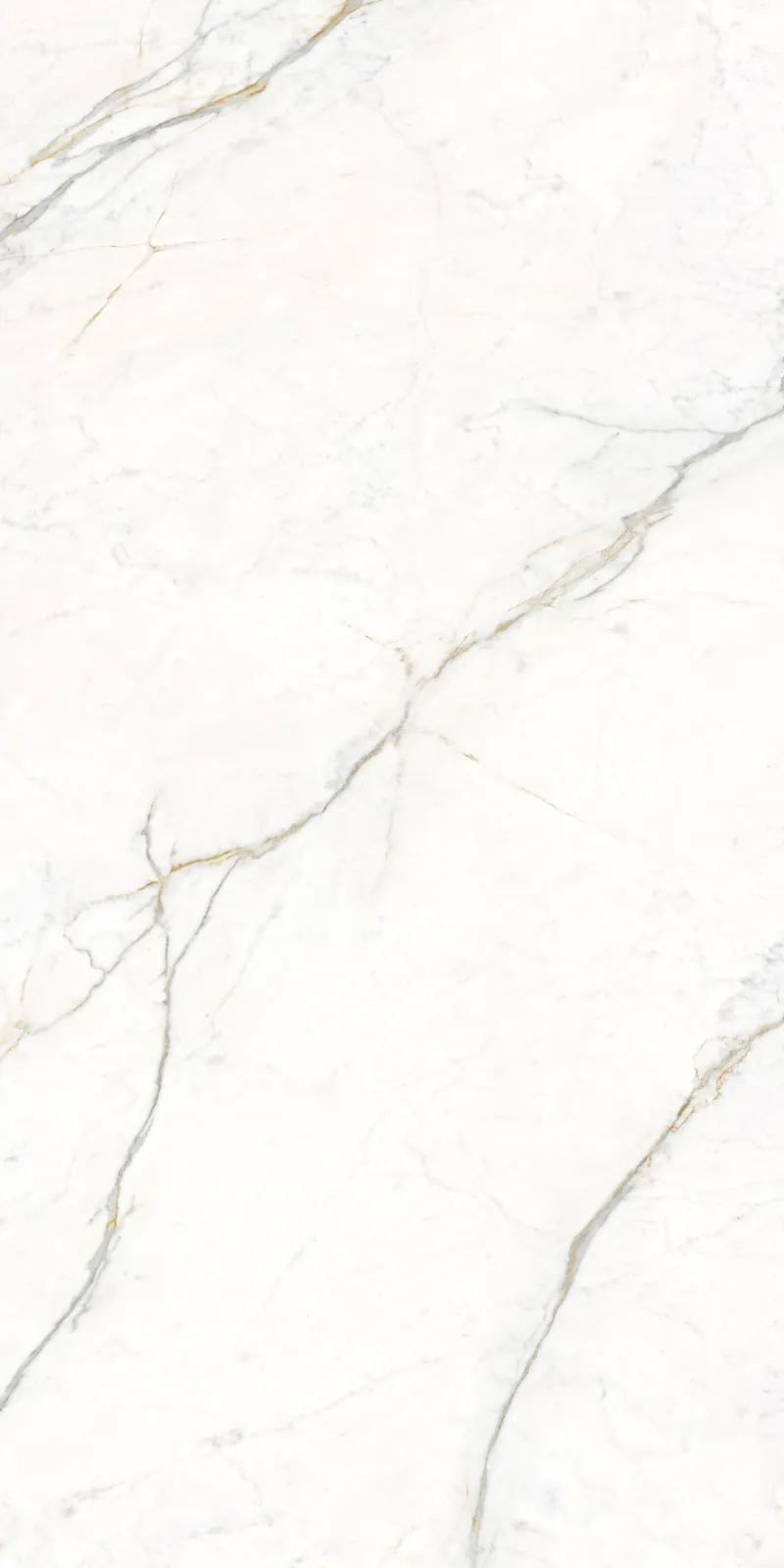 Ảnh chi tiết Gold Cascabel