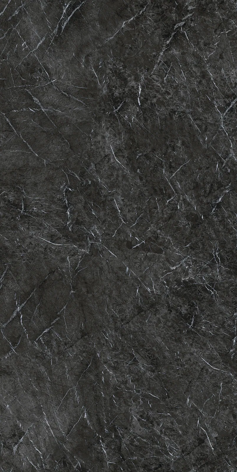 Ảnh chi tiết Grigio Carnico