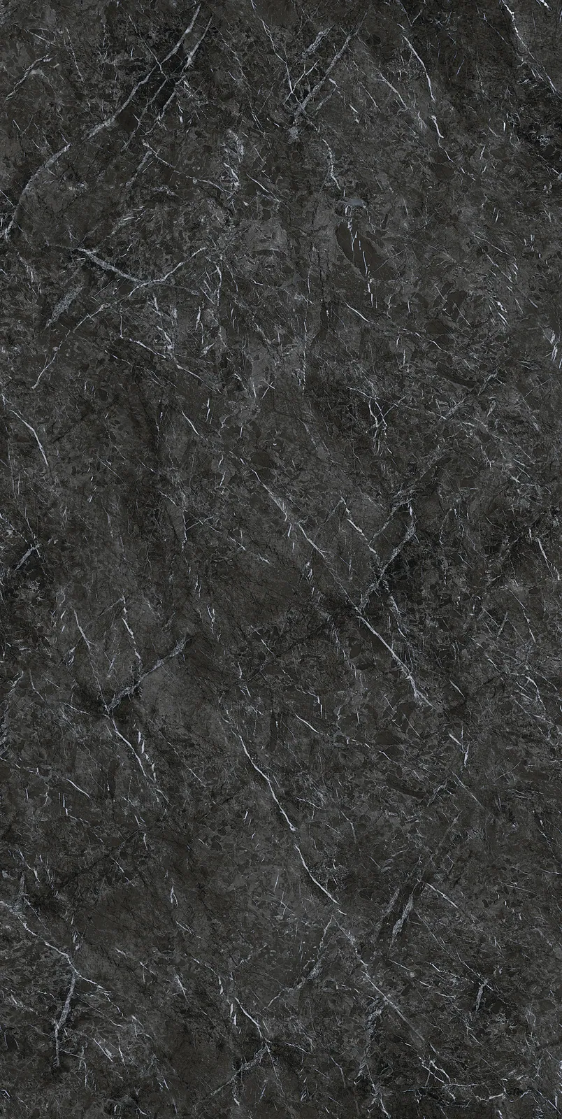 Ảnh chi tiết Grigio Carnico