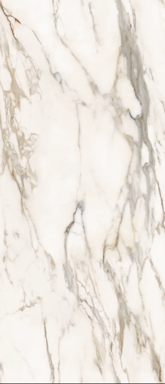 Ảnh chi tiết Macchia Vecchia Essentials