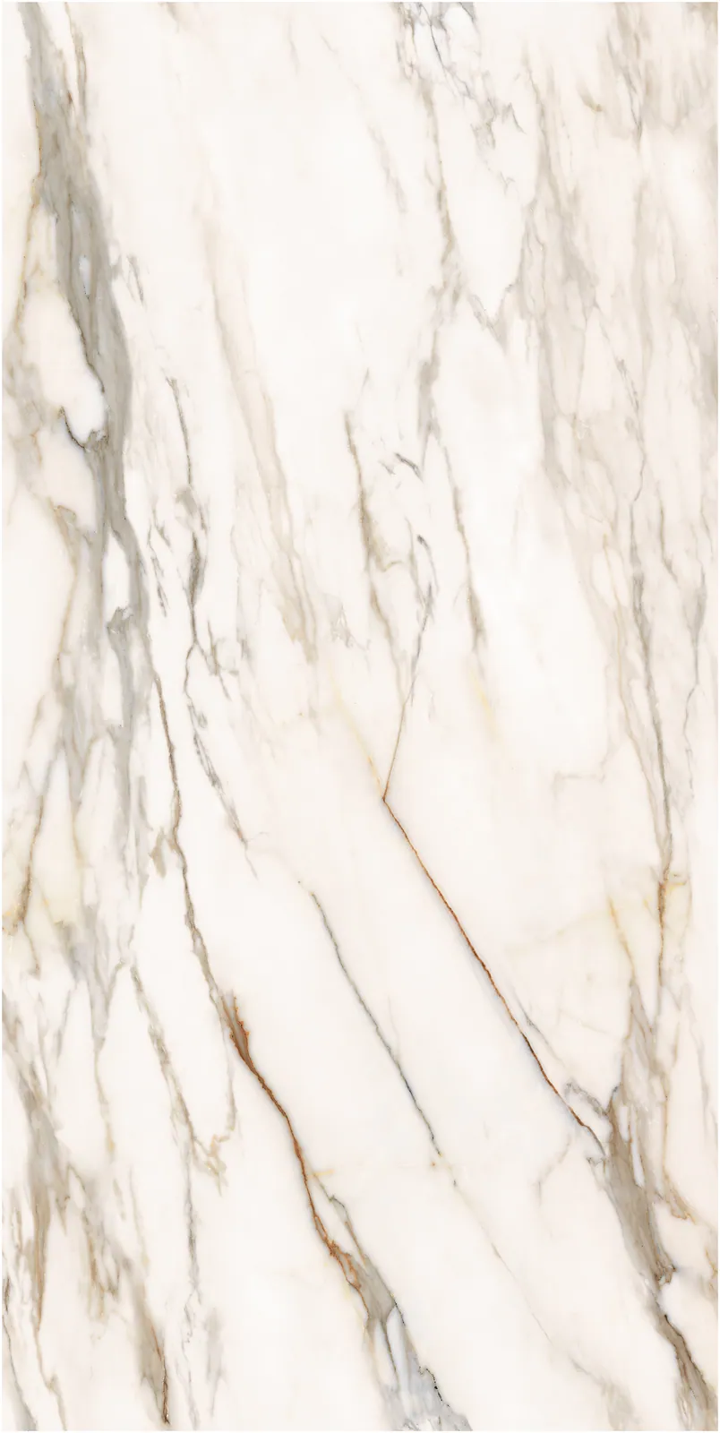 Ảnh chi tiết Macchia Vecchia
