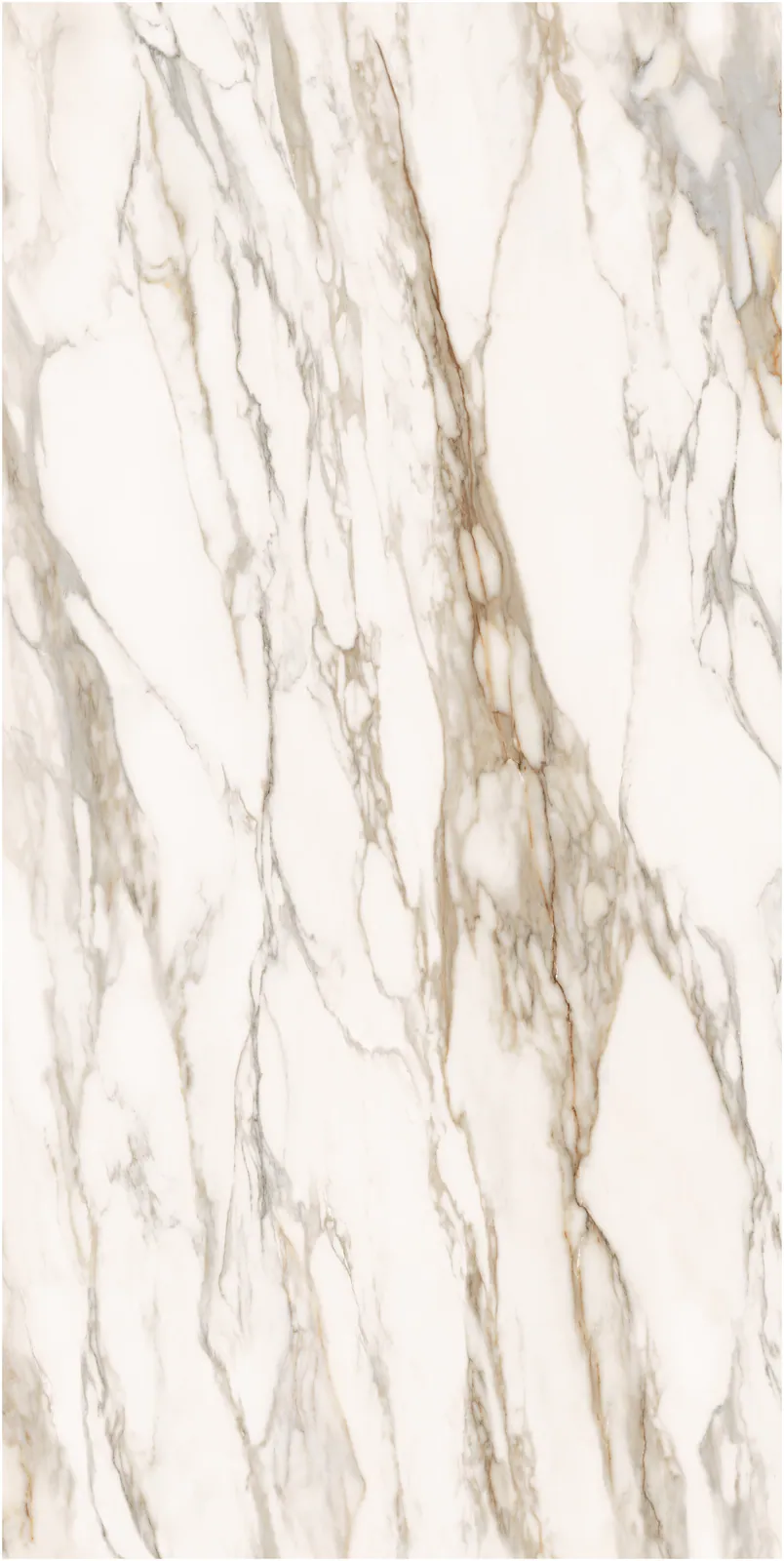 Ảnh chi tiết Macchia Vecchia