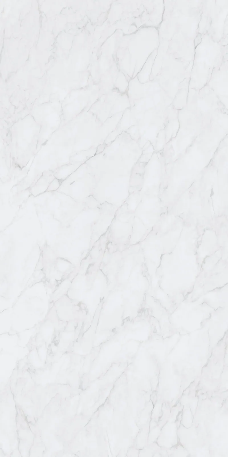 Ảnh chi tiết Marvel Bernini