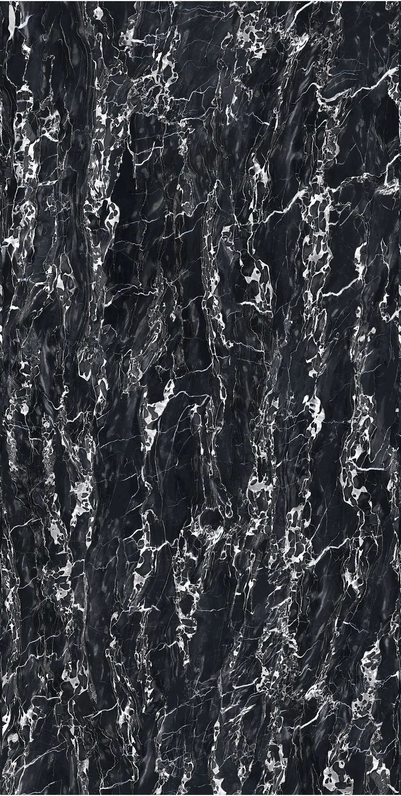 Ảnh chi tiết Portoro Silver