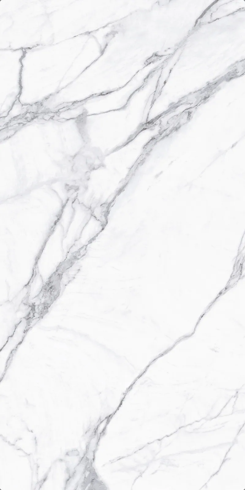 Ảnh chi tiết Statuario VeInBody