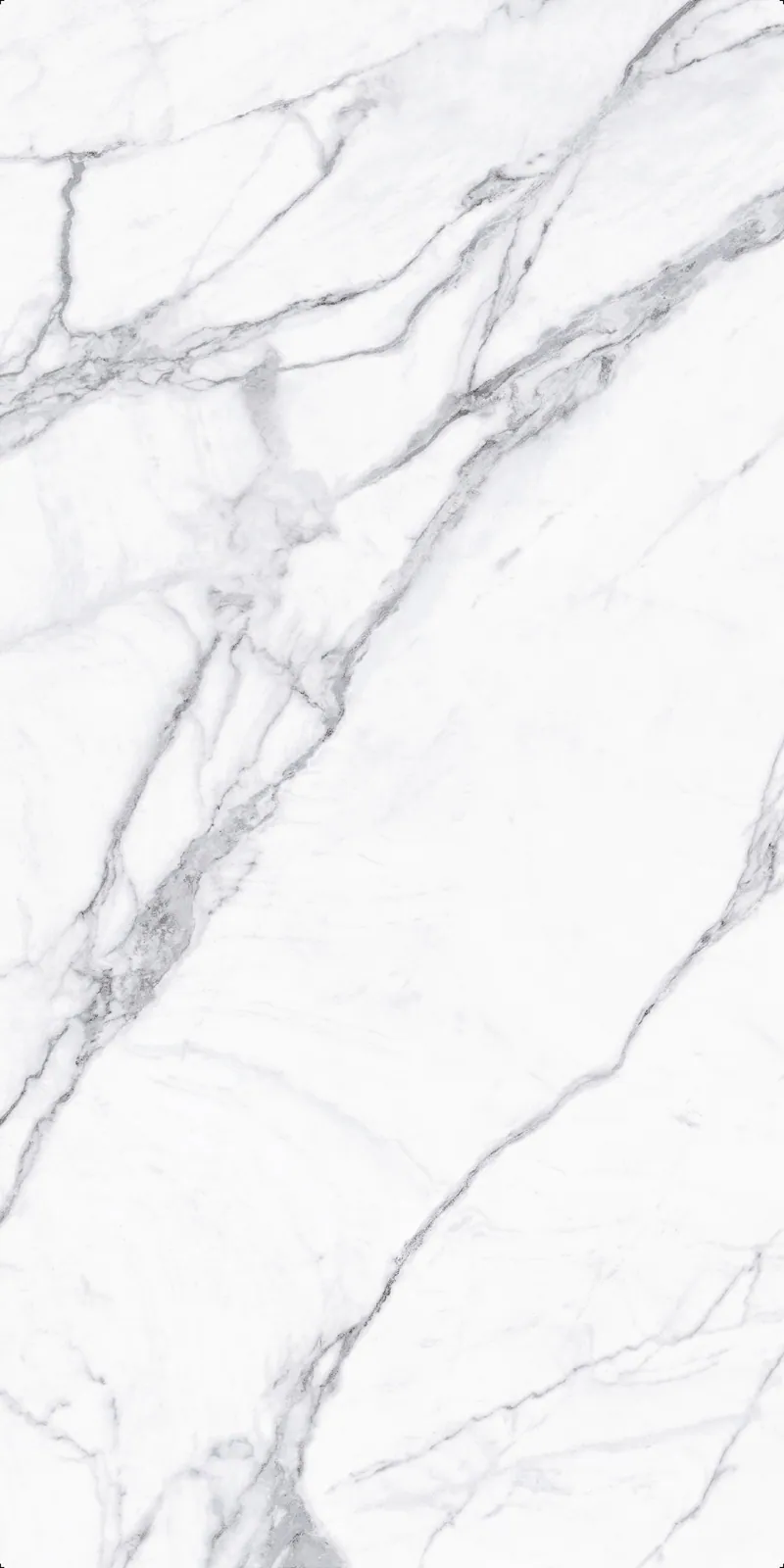 Ảnh chi tiết Statuario VeInBody